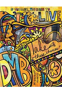 Take These Chances DMB Journal