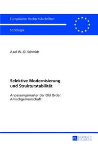Selektive Modernisierung Und Strukturstabilitaet