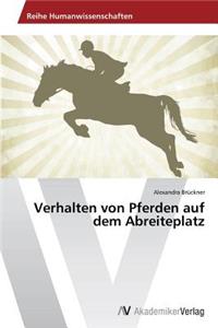 Verhalten von Pferden auf dem Abreiteplatz