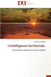 L'Intelligence Territoriale