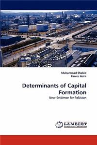 Determinants of Capital Formation