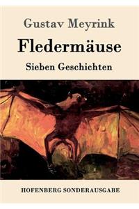 Fledermäuse