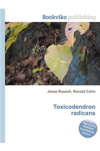 Toxicodendron Radicans