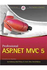 Professional Asp.Net Mvc 5