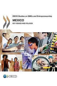 OECD Studies on Smes and Entrepreneurship Mexico