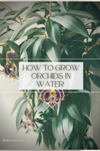 How To Grow Orchids In Water