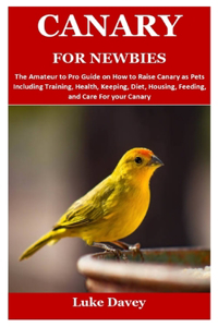 Canary for Newbies