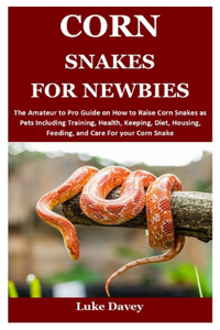 Corn Snakes for Newbies