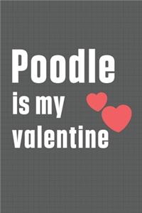 Poodle is my valentine