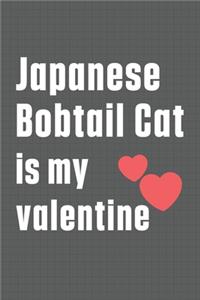 Japanese Bobtail Cat is my valentine