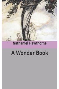 A Wonder Book