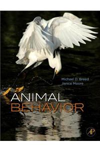 Animal Behavior