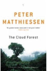 Cloud Forest