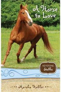 Horse to Love