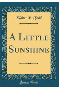 A Little Sunshine (Classic Reprint)