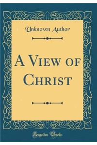 A View of Christ (Classic Reprint)