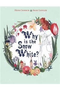 Why is the Snow White?