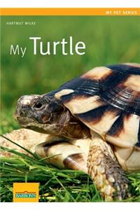 My Turtle