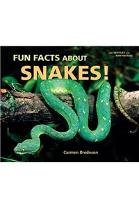 Fun Facts about Snakes!