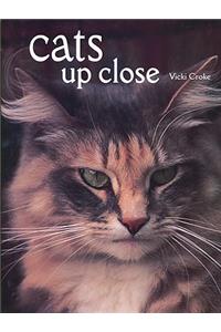 Cats Up Close
