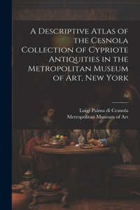 Descriptive Atlas of the Cesnola Collection of Cypriote Antiquities in the Metropolitan Museum of Art, New York; 2a