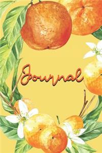 Journal