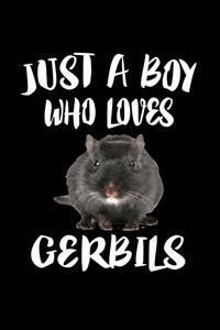 Just A Boy Who Loves Gerbils