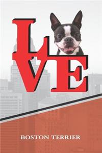 Boston Terrier