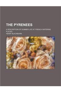 The Pyrenees; A Description of Summer Life at French Watering Places