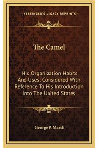 The Camel