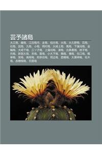 Yun y Zh D O: Da S N D O, Yan D O, Ji Ng Tian D O Shi, Z U D O, Bo F Ng D O, Da D O, Da Ji y D O, B I D O, Shi D O, y N D O, Ji D O