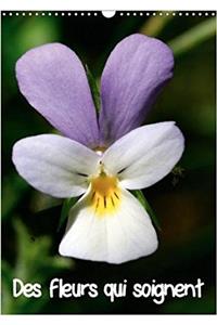 Des Fleurs Qui Soignent 2018