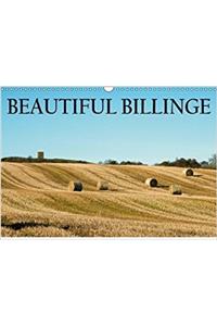 Beautiful Billinge 2018