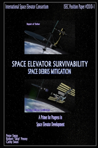 Space Elevator Survivability Space Debris Mitigation