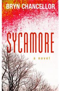 Sycamore