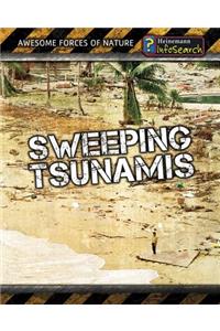 Sweeping Tsunamis