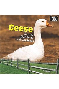 Geese