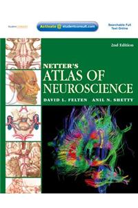 Netter's Atlas of Neuroscience E-Book
