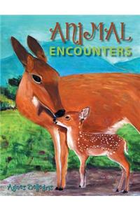 Animal Encounters