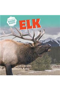 Elk
