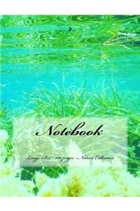 Notebook - Large Size - 100 pages - Nature Collection