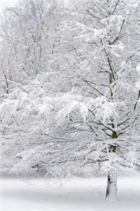 Mind Blowing Snowy Tree Journal