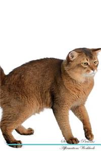 Somali Cat Affirmations Workbook Somali Cat Presents
