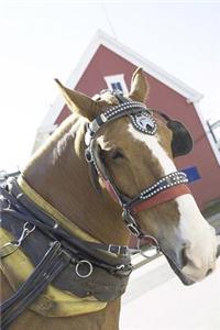Equine Journal Chestnut Carriage Horse