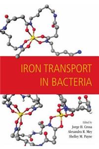 Iron Transport in Bacteria