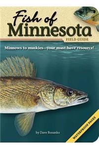 Fish of Minnesota Field Guide