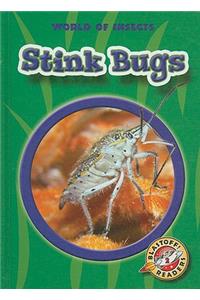 Stink Bugs