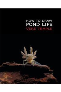 How to Draw Pond Life (Reprint Edition)