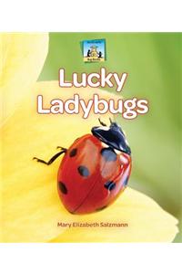 Lucky Ladybugs