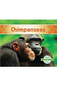 Chimpanzees